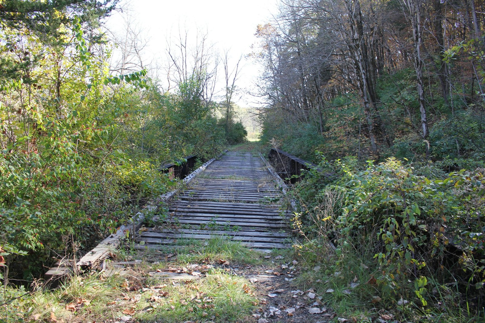 Looking north